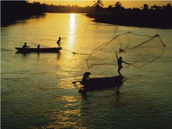 Bài giảng Tự nhiên và xã hội - Nguyễn Thị Ngọc Lan - Chủ đề: Cá