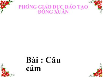 Luyện từ và câu - Bài: Câu cảm