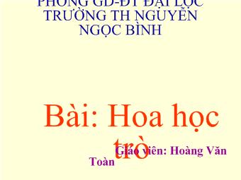 Tập đọc lớp 4 - Bài: hoa học trò