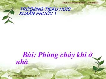 Tự nhiên và xã hội - Bài: Phòng cháy khi ở nhà