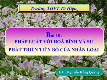 Bài 10: Pháp luật với hoà bình và sự phát triển tiến bộ của nhân loại - Nguyễn Hồng Quang
