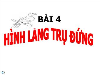 Bài 4: Hình lăng trụ đứng