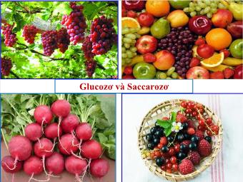 Bài 50-51: Glucozơ và saccarozơ