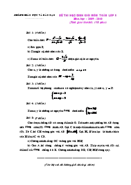 Đề thi học sinh giỏi môn Toán Lớp 9 Năm học : 2009 - 2010