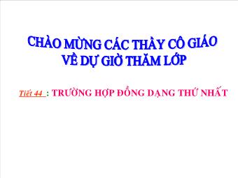 Tiết 44: Trường hợp đồng dạng thứ nhất