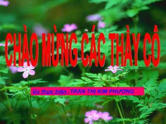 Tiết 48: Các trường hợp đồng dạng của tam giác vuông