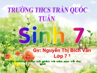Tiết 7 - Bài 7: Đặc điểm chung- vai trò thực tiễn của động vật nguyên sinh - Nguyễn Thị Bích Vân