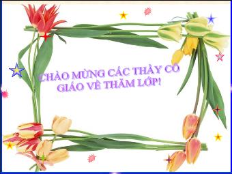 Bài 7 - Tiết 8: Yêu thiên nhiên, sống hòa hợp với thiên nhiên