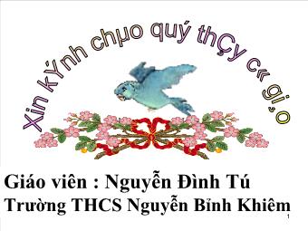 Tiết 13: Luyện tập - Nguyễn Đình Tú