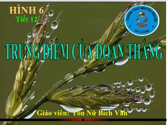 Tiết 12: Trung điểm của đoạn thẳng - Tôn Nữ Bích Vân