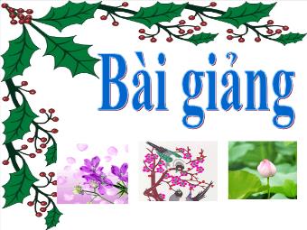 Bài giảng Bài 15 - Tiết 24: Phòng ngừa tai nạn vũ khí, cháy, nổ và các chất độc hại