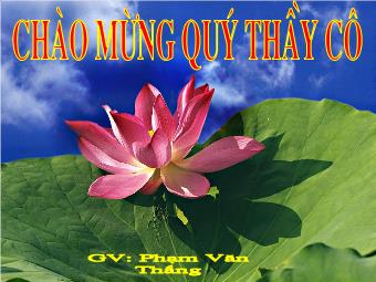 Bài giảng Bài 21: Pháp luật nước cộng hoà xã hội chủ nghĩa Việt Nam (tiết 2)