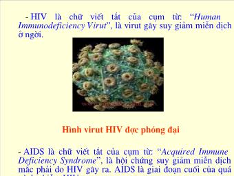 Bài giảng Phòng chống lây nhiễm HIV/AIDS