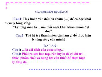 Bài giảng Tiết 19 - Bài 11: Trách nhiệm của thanh niên trong sự nghiệp công nghiệp hoá, hiện đại hoá đất nước