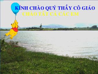 Bài giảng Tiết 27 - Bài 15: Vi phạm pháp luật và trách nhiệm pháp lí của công dân (tiếp theo)