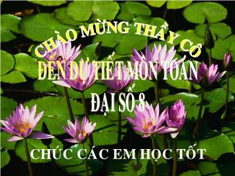 Bài giảng Tuần 29 - Tiết 62 - Bài 4: Bất phương trình bậc nhất một ẩn