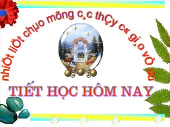 Bài giảng Vi phạm pháp luật (tiếp theo)