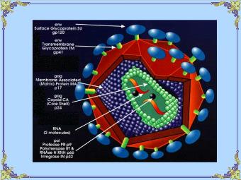 Chuyên đề Truyền thông ma túy – hiv / aids và tội phạm