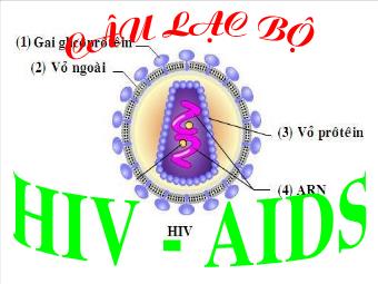 Bài giảng Hoạt động ngoài giờ lên lớp 10 - Tìm hiểu về HIV/AIDS