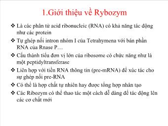 Bài giảng Giới thiệu về Rybozym