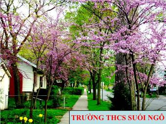 Bài giảng Công nghệ 6 - Bài 12: Trang trí nhà ở bằng cây cảnh và hoa