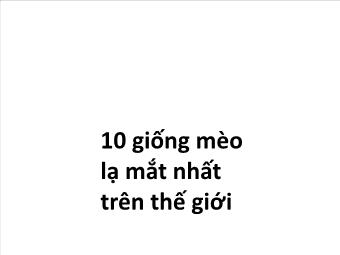 10 giống mèo lạ mắt nhất trên thế giới