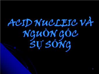 Acid nucleic và nguồn gốc sự sống