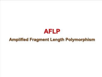 AFLP- Amplified Fragment Length Polymorphism