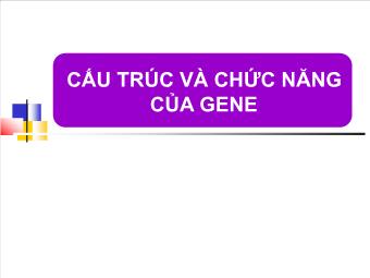 Bài giảng Cấu trúc và chức năng của gene