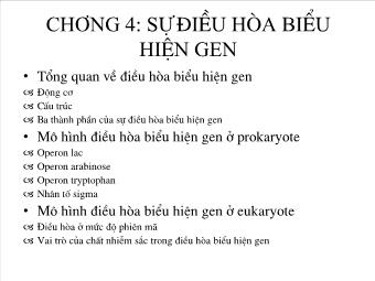 Bài giảng Chương 4: Sự điều hòa biểu hiện gen