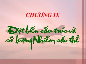 Bài giảng Chương 9: Đột biến cấu trúc và số lượng nhiễm sắc thể