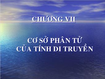 Bài giảng Cơ sở phân tử của tính di truyền