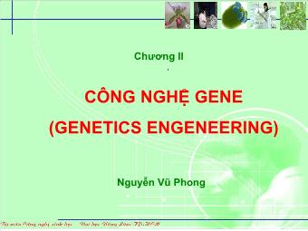 Bài giảng Công nghệ sinh học - Chương II: Công nghệ gene (genetics engeneering)