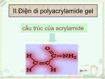 Bài giảng Điện di polyacrylamide gel