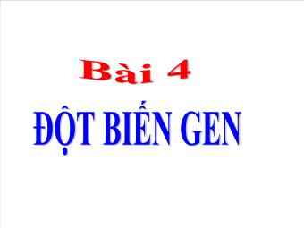 Bài giảng Đột biến gen