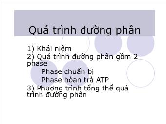 Bài giảng Quá trình đường phân