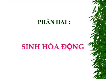 Bài giảng Sinh hóa động - Chương X: Các quy luật chung của sự trao đổi chất