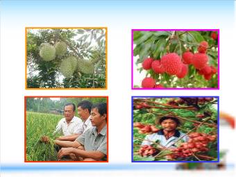 Bài giảng Sinh học 6 tiết 55: Nguồn gốc cây trồng
