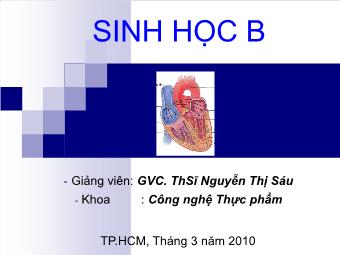 Bài giảng Sinh học B - Chương IV: Hô hấp