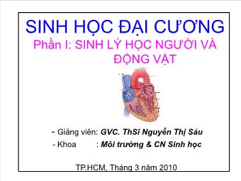 Bài giảng Sinh học đại cương - Chương IX: Hệ bài tiết & sự nội cân bằng