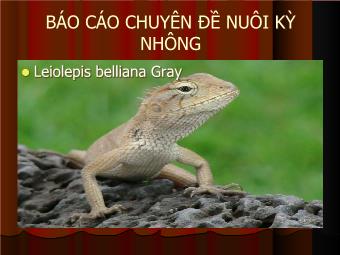 Báo cáo Chuyên đề Nuôi kỳ nhông