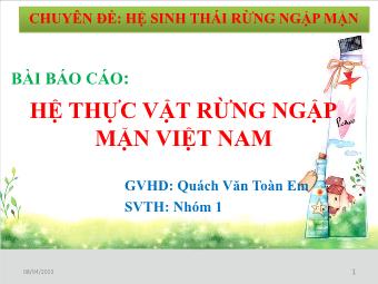 Báo cáo Hệ thực vật rừng ngập mặn Việt Nam