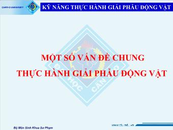 Báo cáo Một số vấn đề chung thực hành giải phẫu động vật