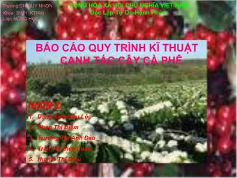 Báo cáo quy trình kĩ thuật canh tác cây cà phê