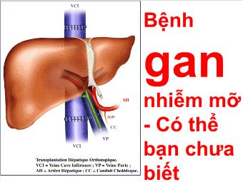 Bệnh gan nhiễm mỡ - Có thể bạn chưa biết