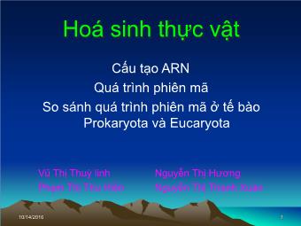 Cấu tạo ARN. Quá trình phiên mã. So sánh quá trình phiên mã ở tế bào Prokaryota và Eucaryota