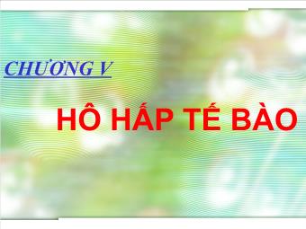 Chương 5: Hô hấp tế bào