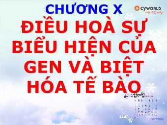 Chương X: Điều hoà sự biểu hiện của gen và biệt hóa tế bào