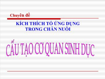 Chuyên đề kích thích tố ứng dụng trong chăn nuôi: Cấu tạo cơ quan sinh dục đực của vật nuôi