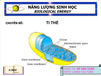 Chuyên đề: Ti thể